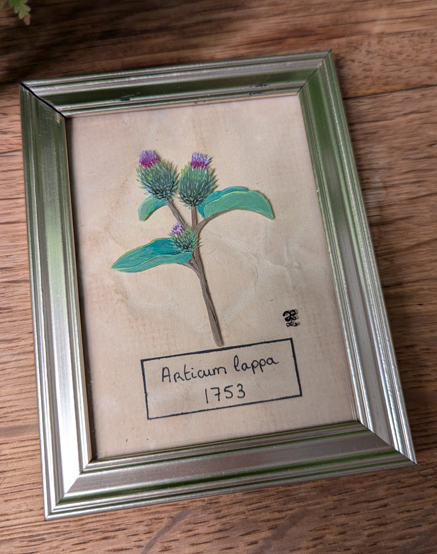 Cadre botanique - plante médicinale