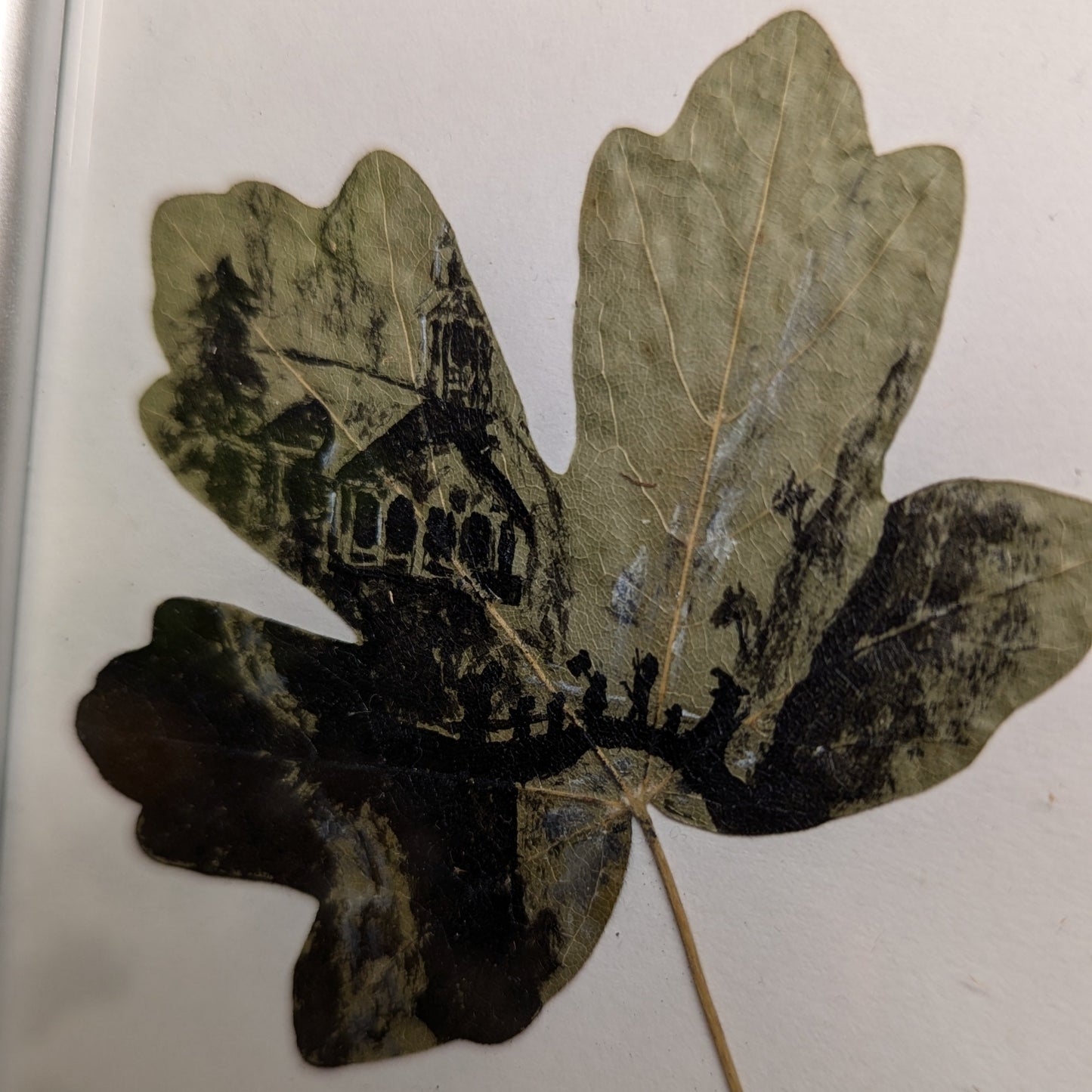 Feuille Fondcombe