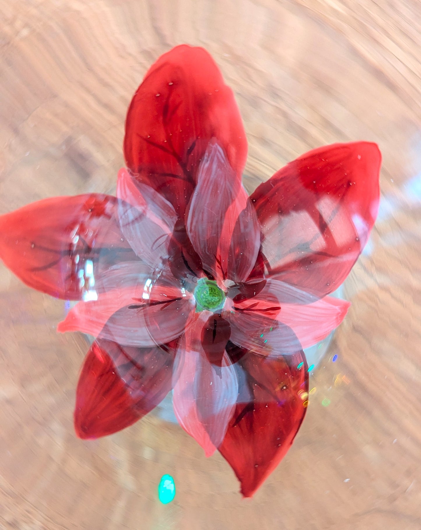 Verres Ă vin - Poinsettia